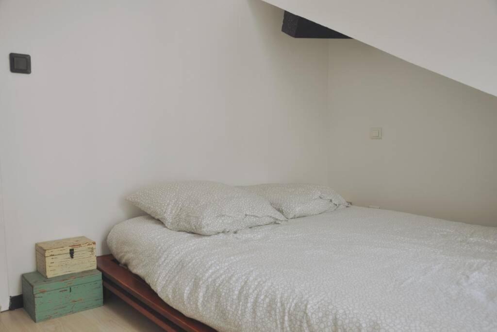 Duplex Avec Belle Terasse Au Centre De Bayonne 아파트 외부 사진